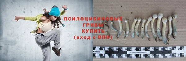 гидропоника Баксан